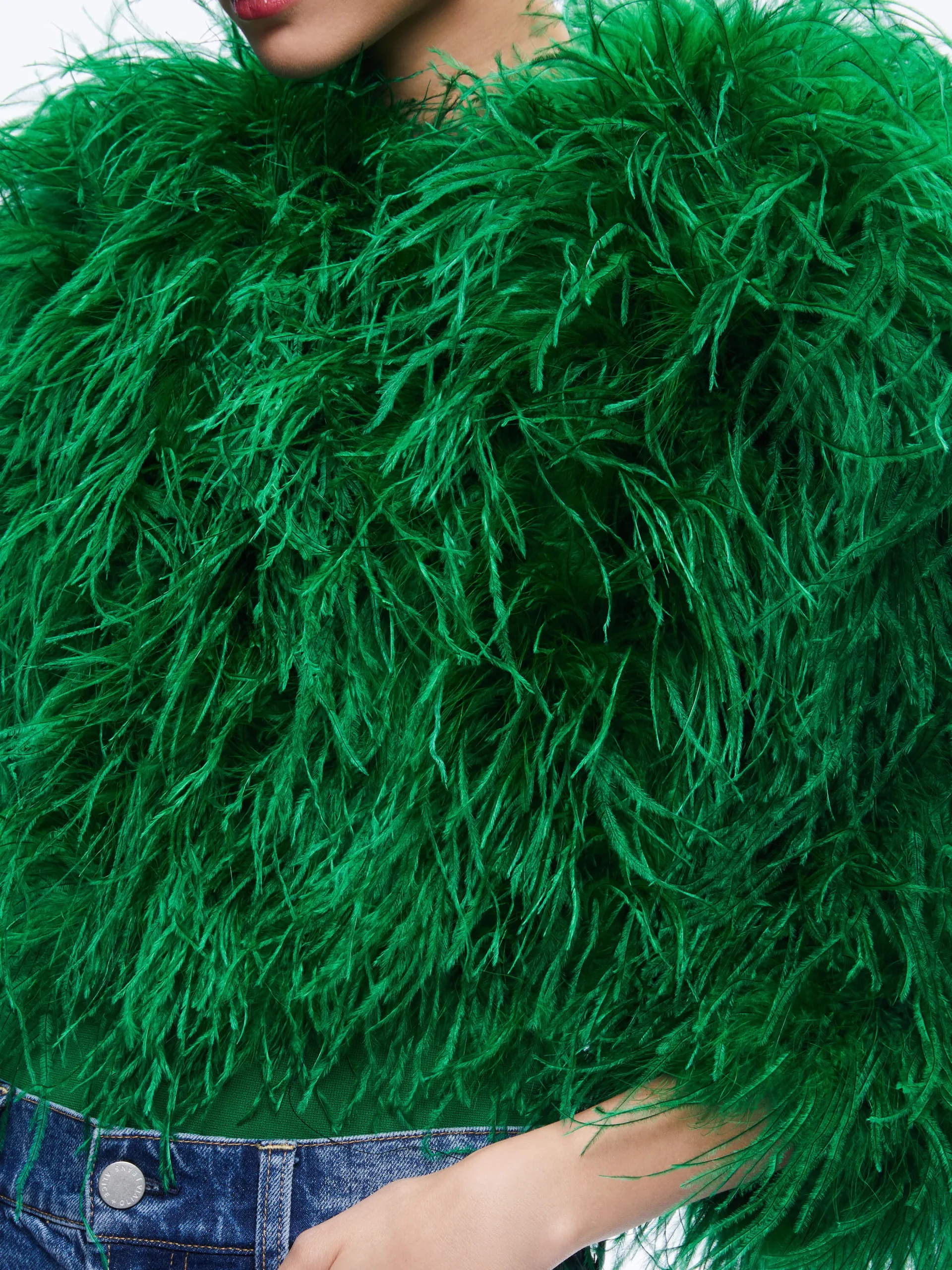 Alice and Olivia KIDMAN FEATHER JACKET *CLOTHING